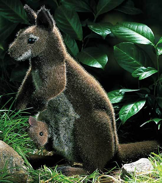Känguru mit Kind / Kösen